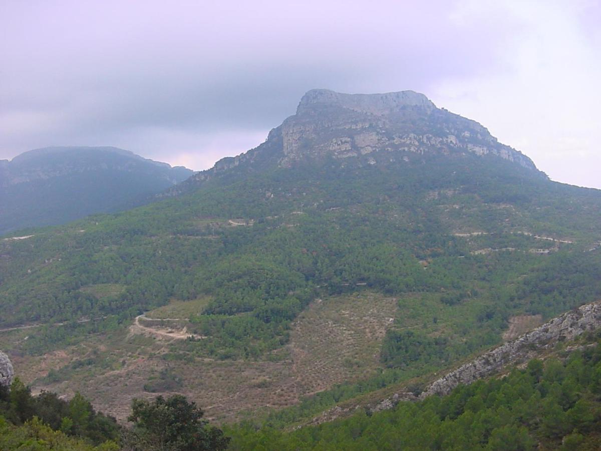 Espai Abadia Argentera المظهر الخارجي الصورة